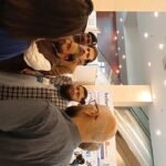 Home 7b22d043 70da 4094 9dce 50f660d2944b